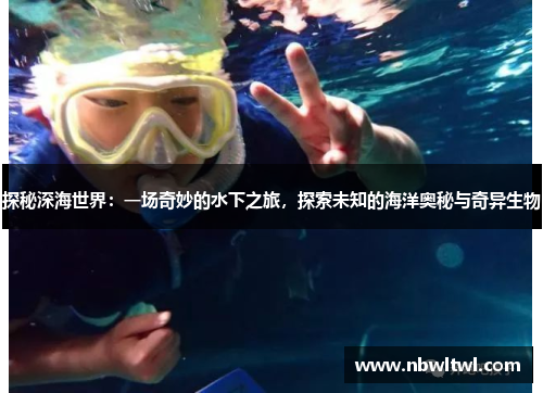探秘深海世界：一场奇妙的水下之旅，探索未知的海洋奥秘与奇异生物