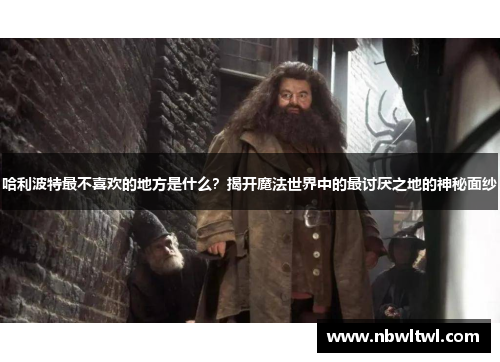 哈利波特最不喜欢的地方是什么？揭开魔法世界中的最讨厌之地的神秘面纱